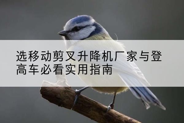 杞县电动升降机厂家-选移动剪叉升降机厂家与登高车必看实用指南