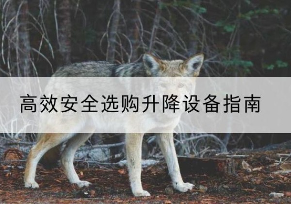 杞县升降货梯厂家推荐-*安全选购升降设备指南