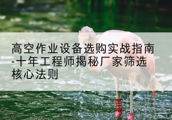 杞县剪叉式升降机厂家-高空作业设备选购实战指南-十年工程师揭秘厂家筛选核心法则